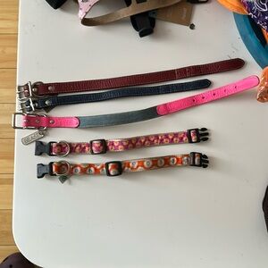 A bundle of designer collars